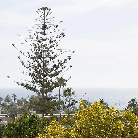 307 Bright, Sea View, Air Conditioning With Swimming Pool Apartment